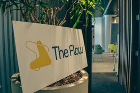 The Flow Experience Day